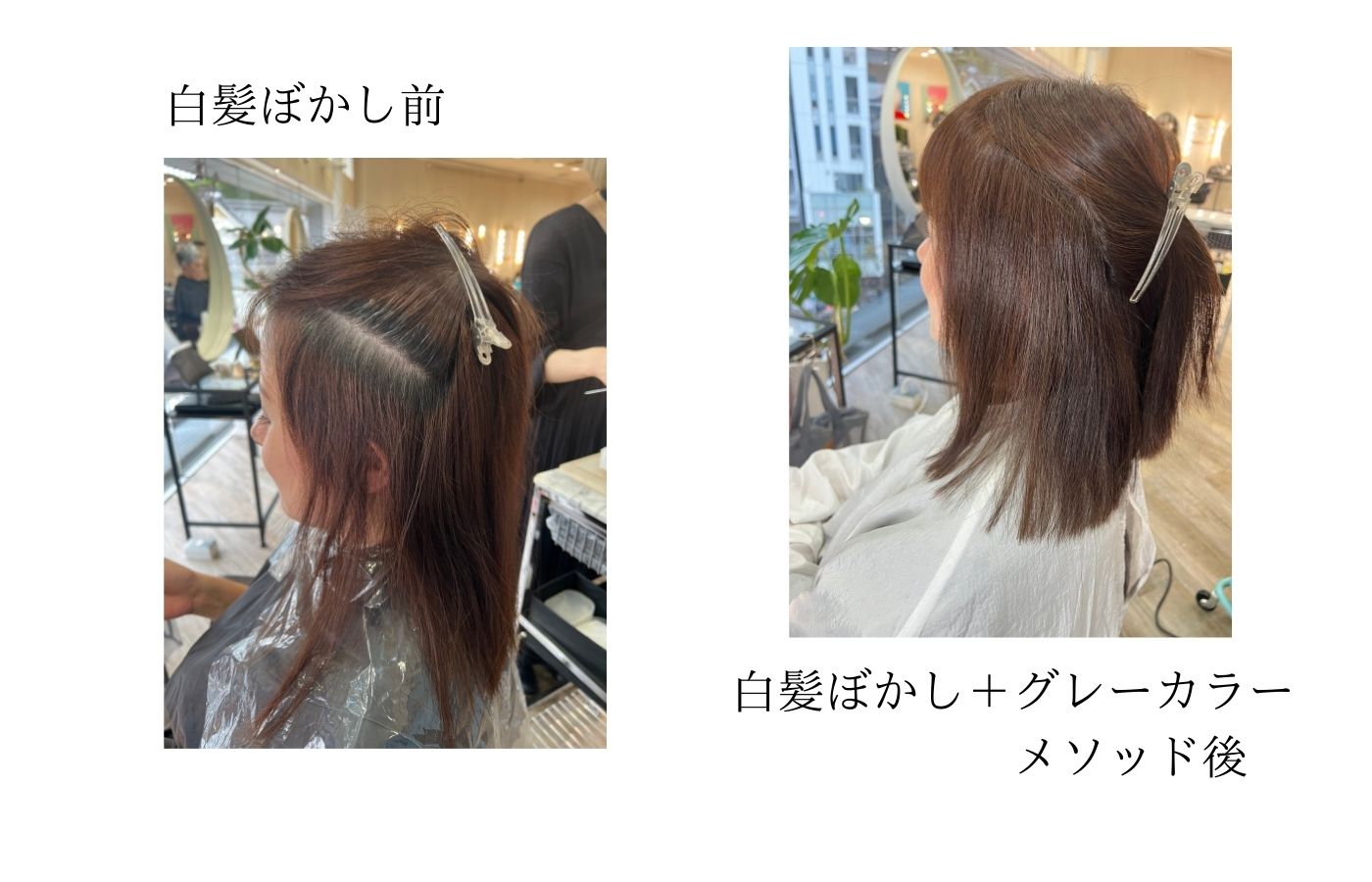 白髪が少ない人の白髪染め