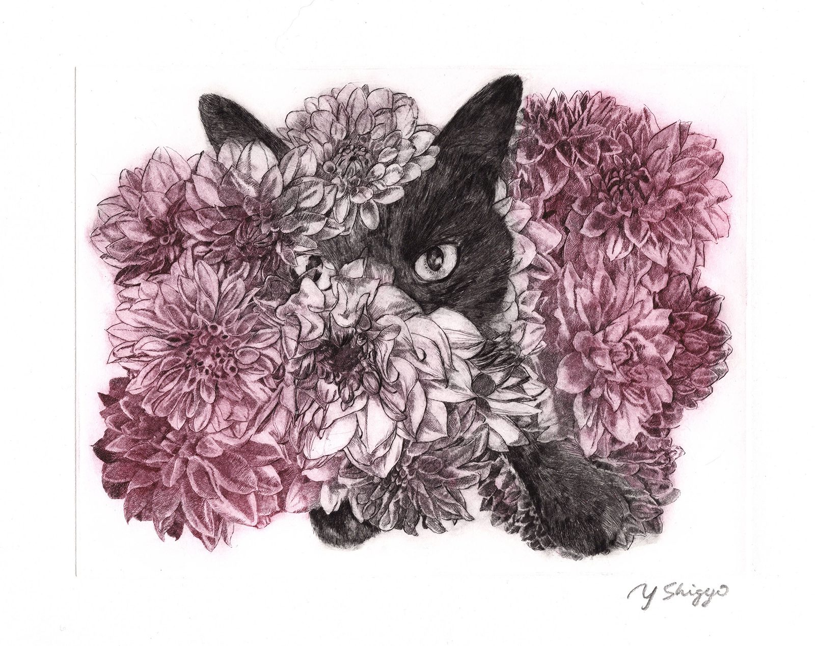 ダリアと猫 | 西側工房