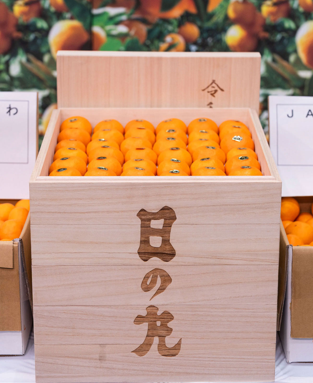 西宇和みかん150万円で落札！ | 愛媛みかん| 西宇和みかん