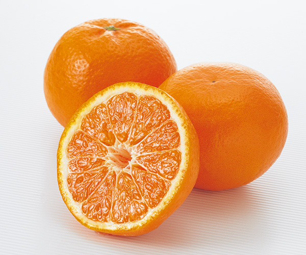 コタツでみかん「プチセット」 | のま果樹園