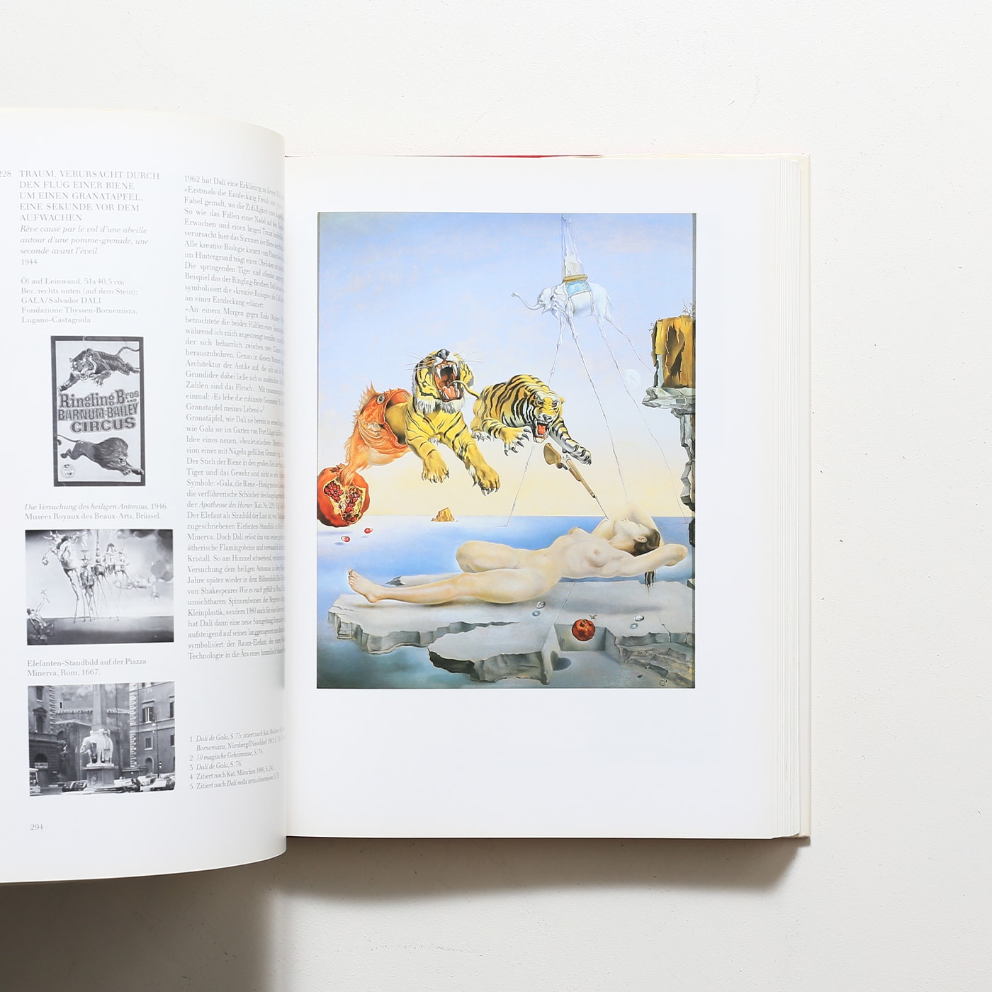 Salvador Dali 1904-1989 | サルバドール・ダリ | nostos books ノスト