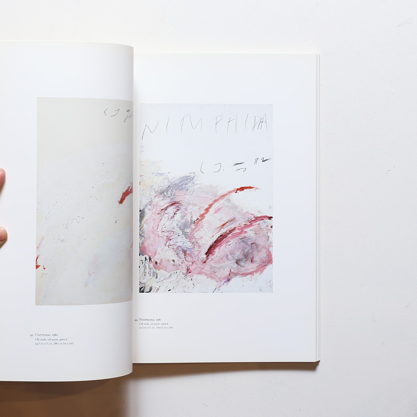 サイ・トゥオンブリー 紙の作品、50年の軌跡 | 原美術館 | nostos