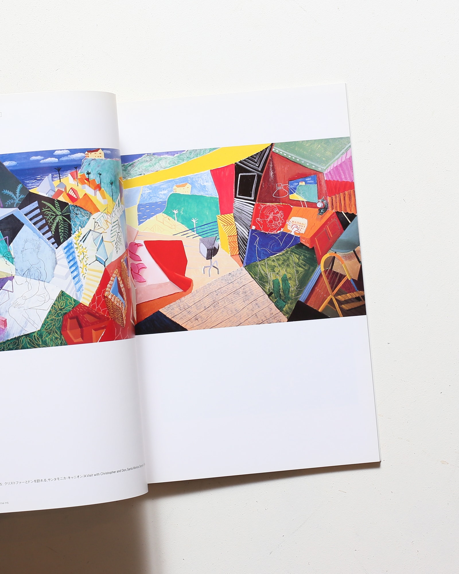 Hockney in California デイヴィッド・ホックニー展 | nostos books