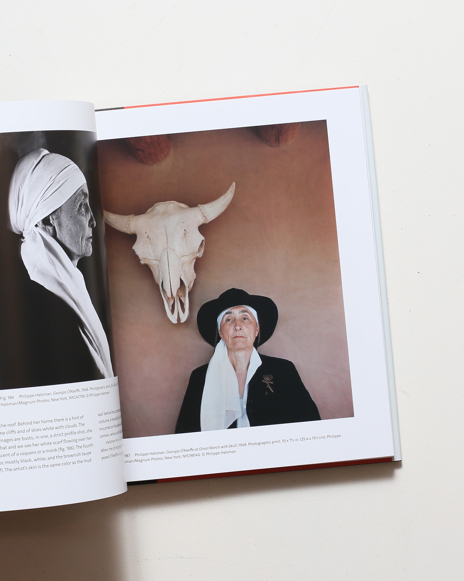 Georgia O'Keeffe: Living Modern | nostos books ノストスブックス