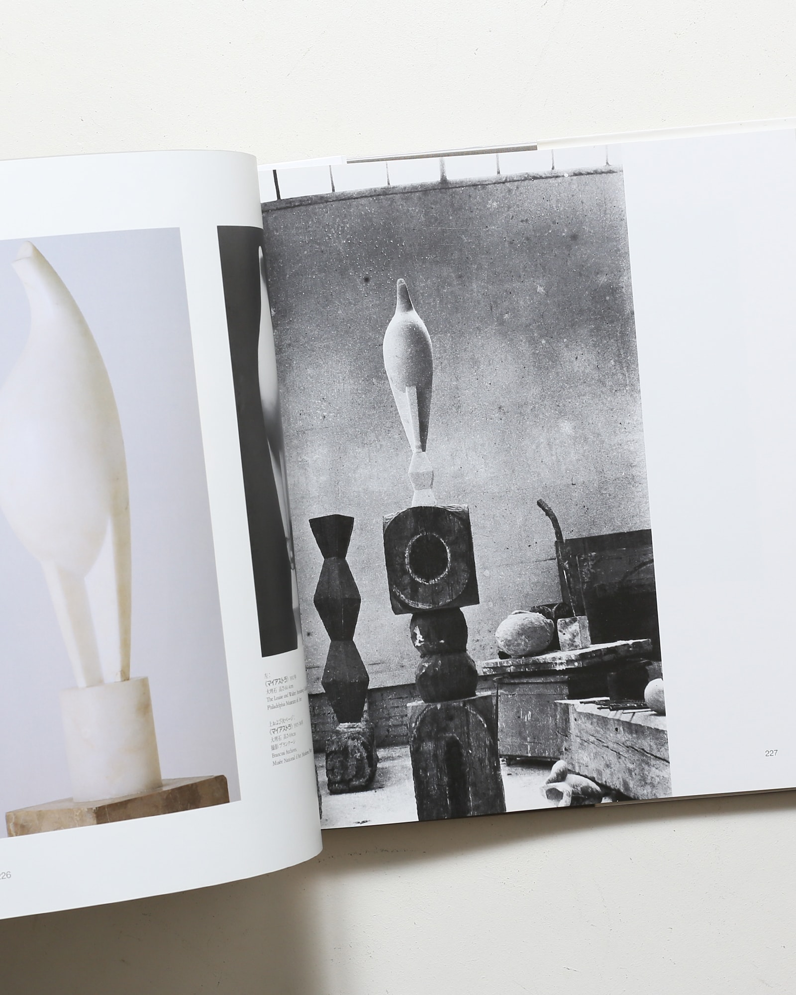 ブランクーシ作品集 | ラドゥ・ヴァリア | nostos books ノストスブックス