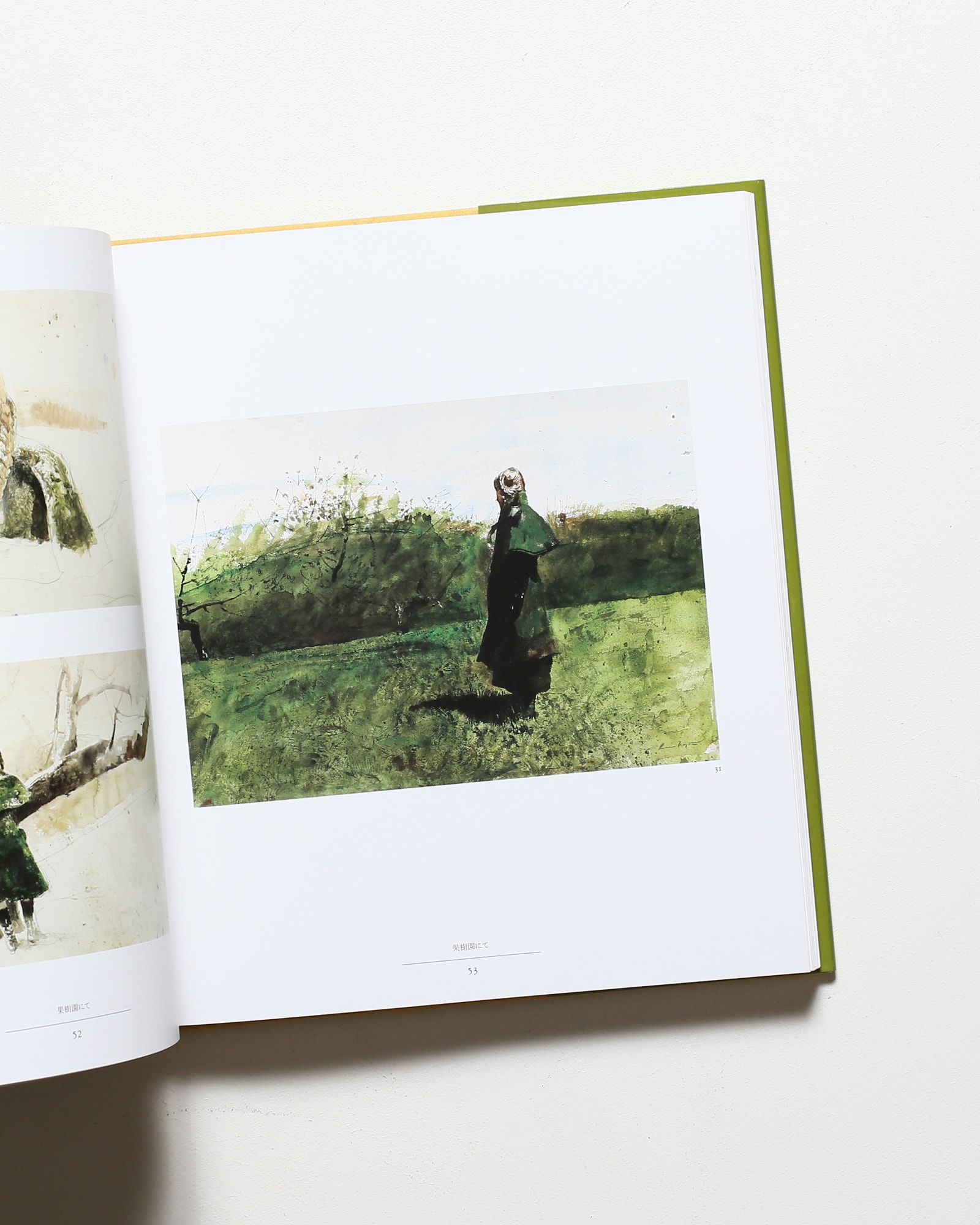 ヘルガ ワイエス画集3 | アンドリュー・ワイエス | nostos books