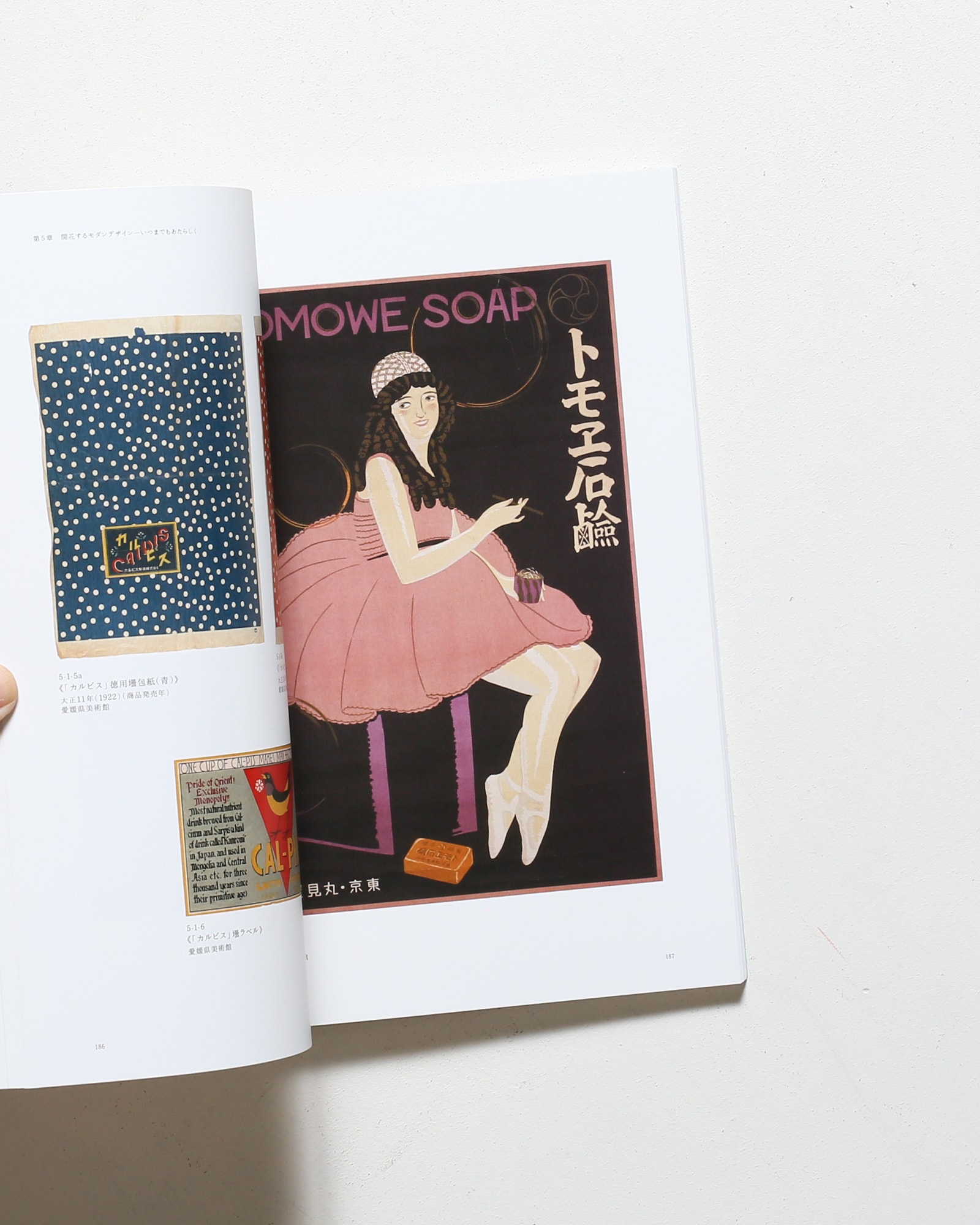 生誕140年 杉浦非水展 開花するモダンデザイン | nostos books ノスト