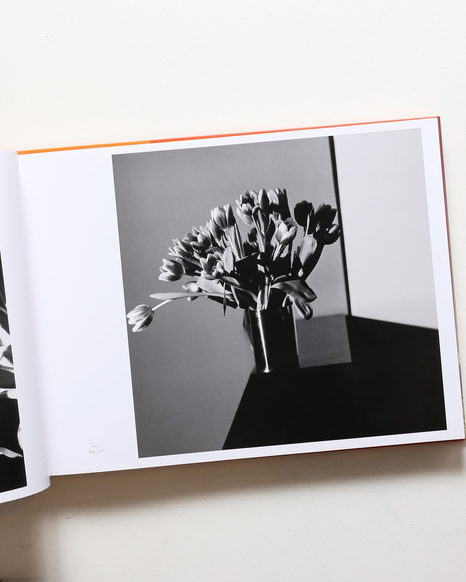 Mapplethorpe: The Complete Flowers | nostos books ノストスブックス