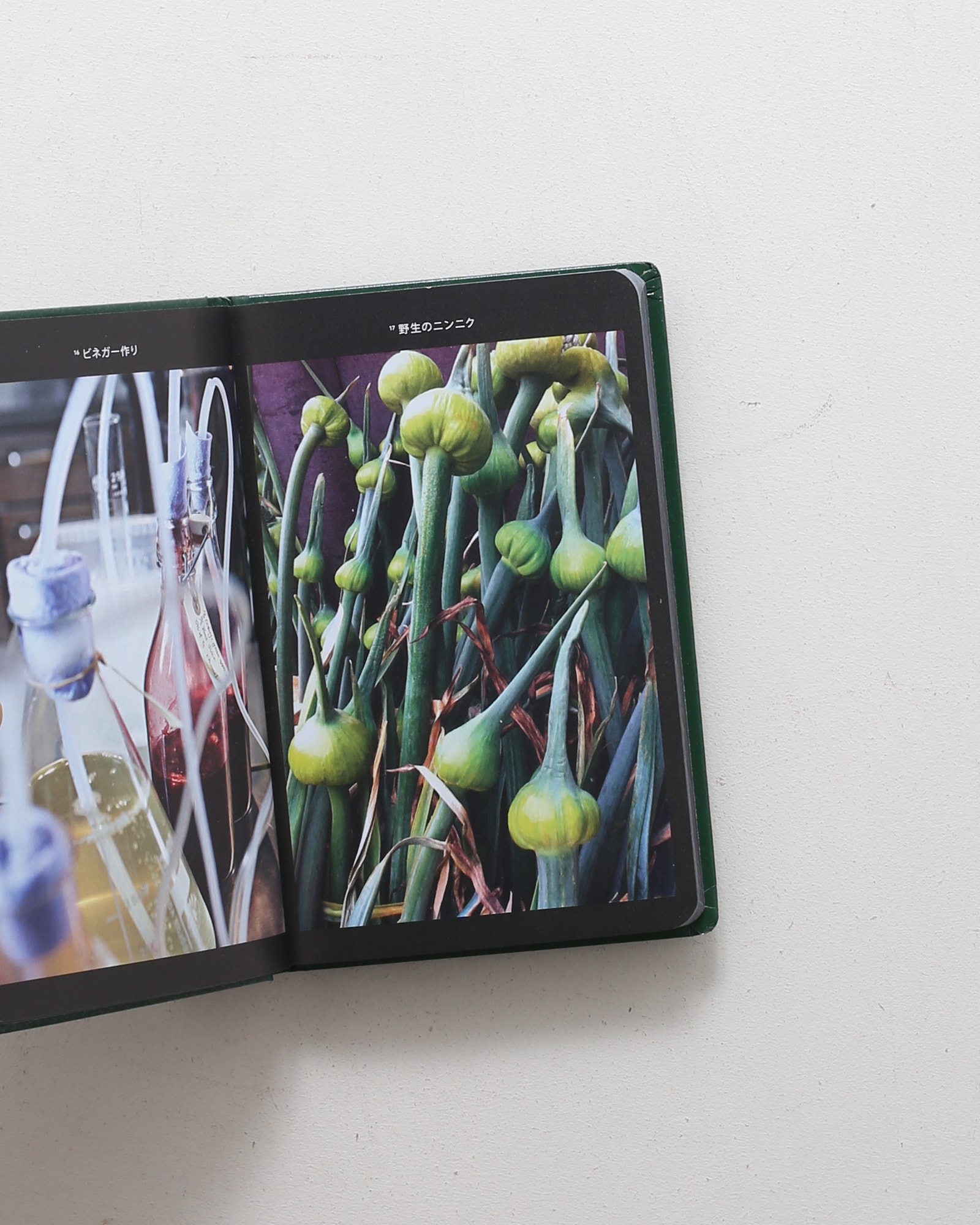 進化するレストラン NOMA | レネ・レゼピ | nostos books ノストスブックス