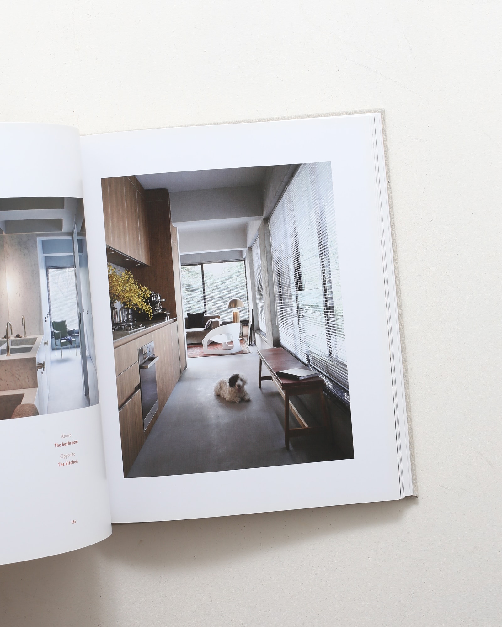 A Frame for Life: The Designs of StudioIlse | nostos books ノスト