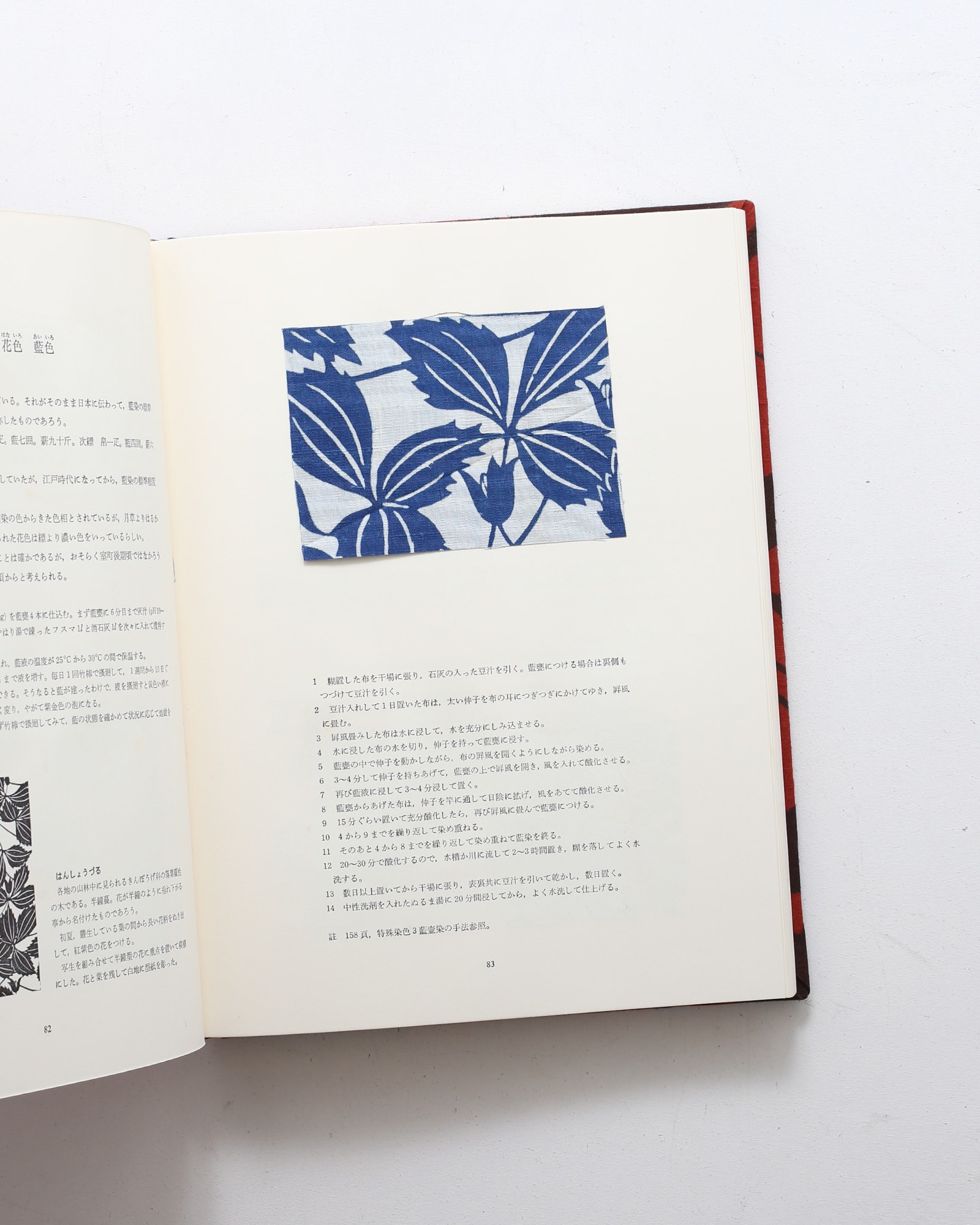 草木染 型染の色 | 山崎青樹 | nostos books ノストスブックス