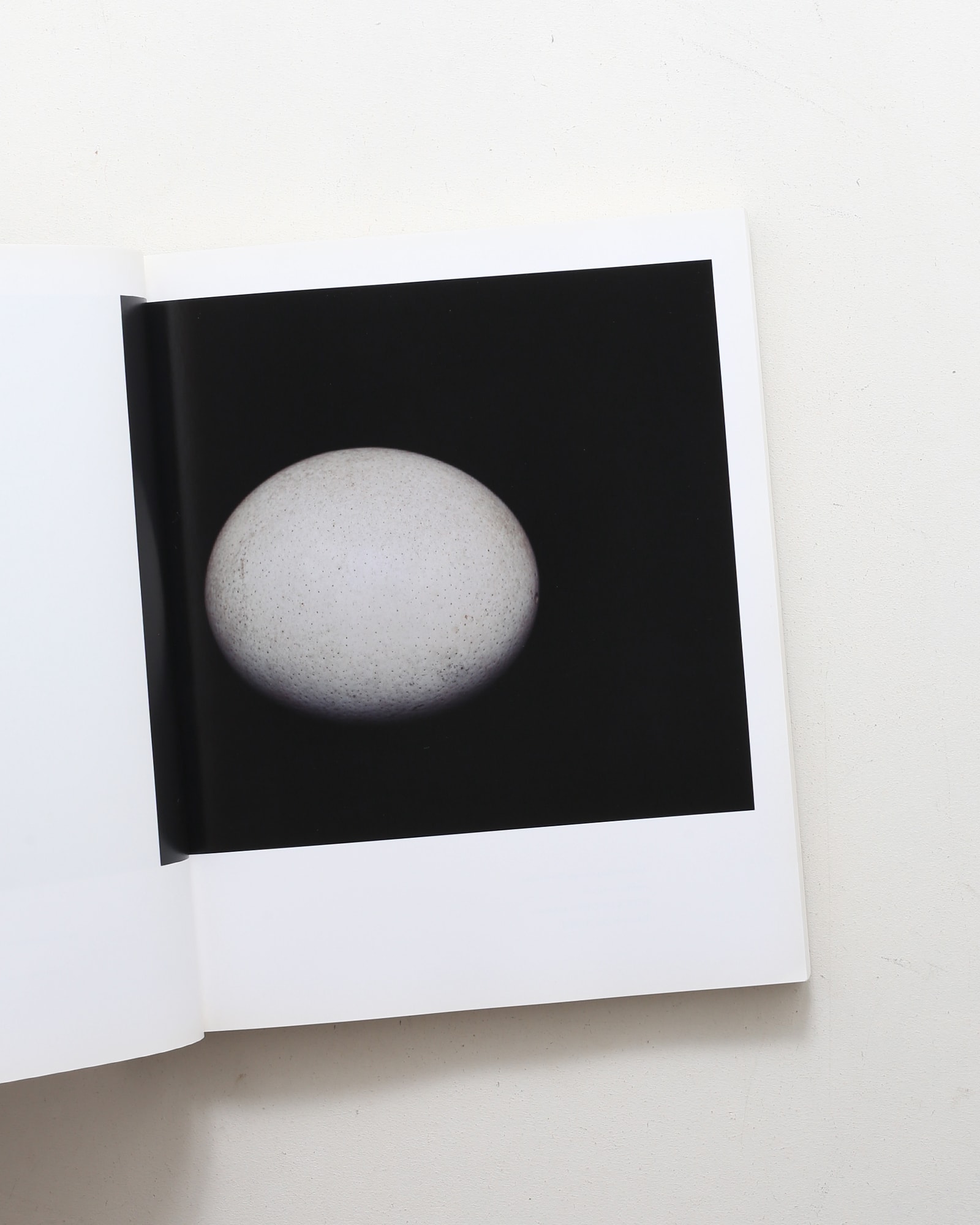 Chamber of Curiosities 東京大学コレクション | 上田義彦、西野嘉章