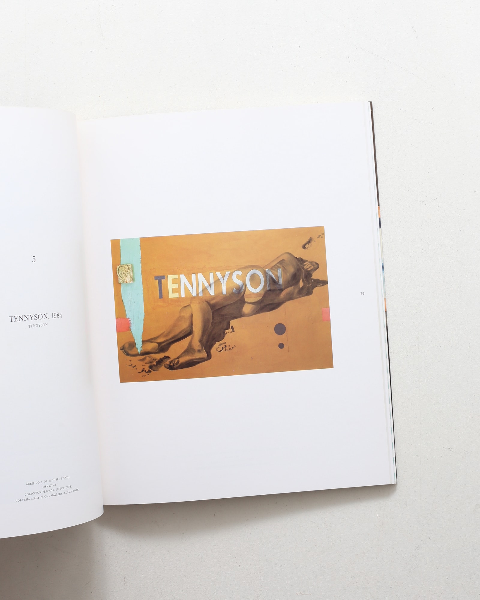 David Salle | デヴィッド・サーレ | nostos books ノストスブックス