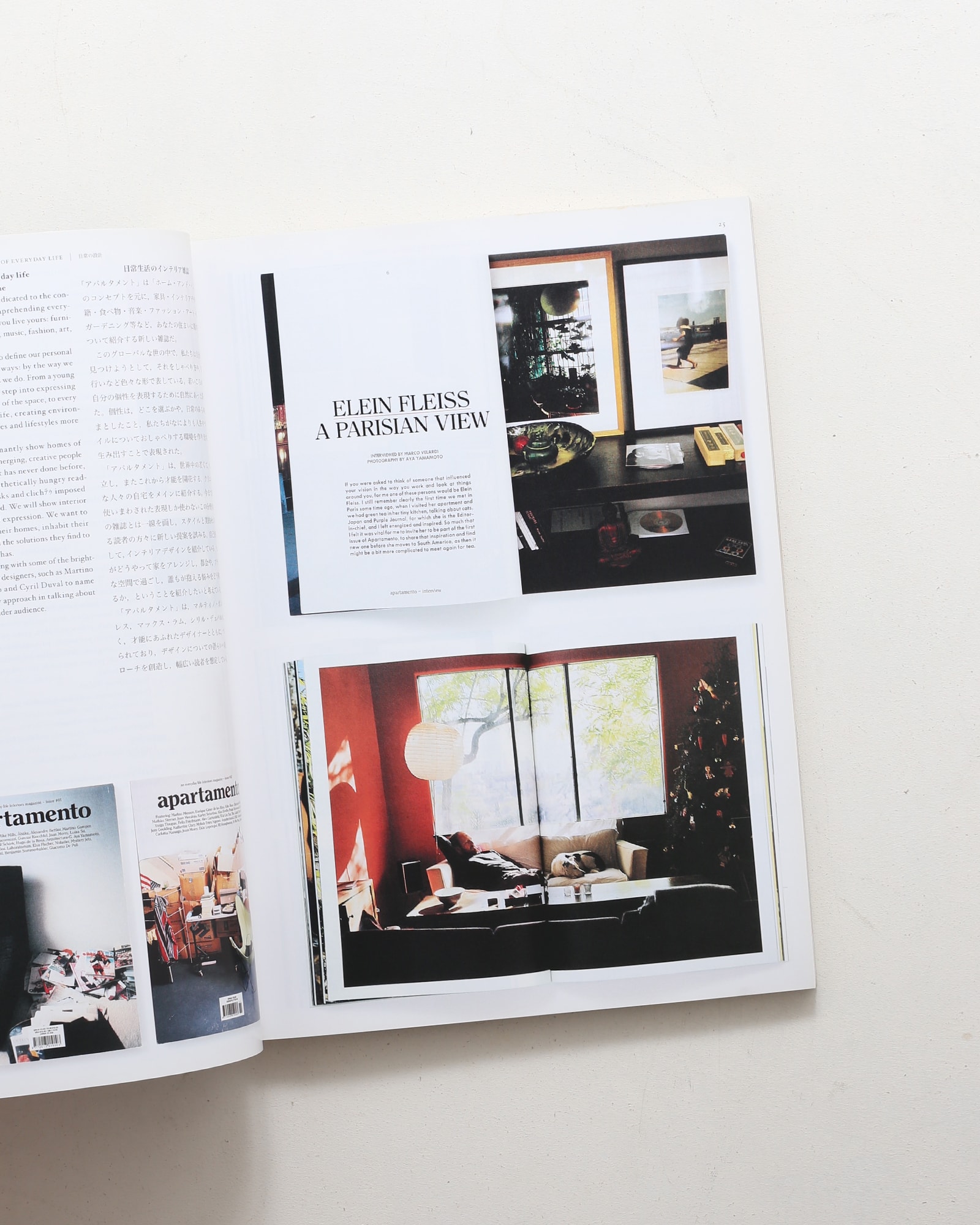 アイデア No.332 グラフィックデザインの変革 | nostos books ノストス