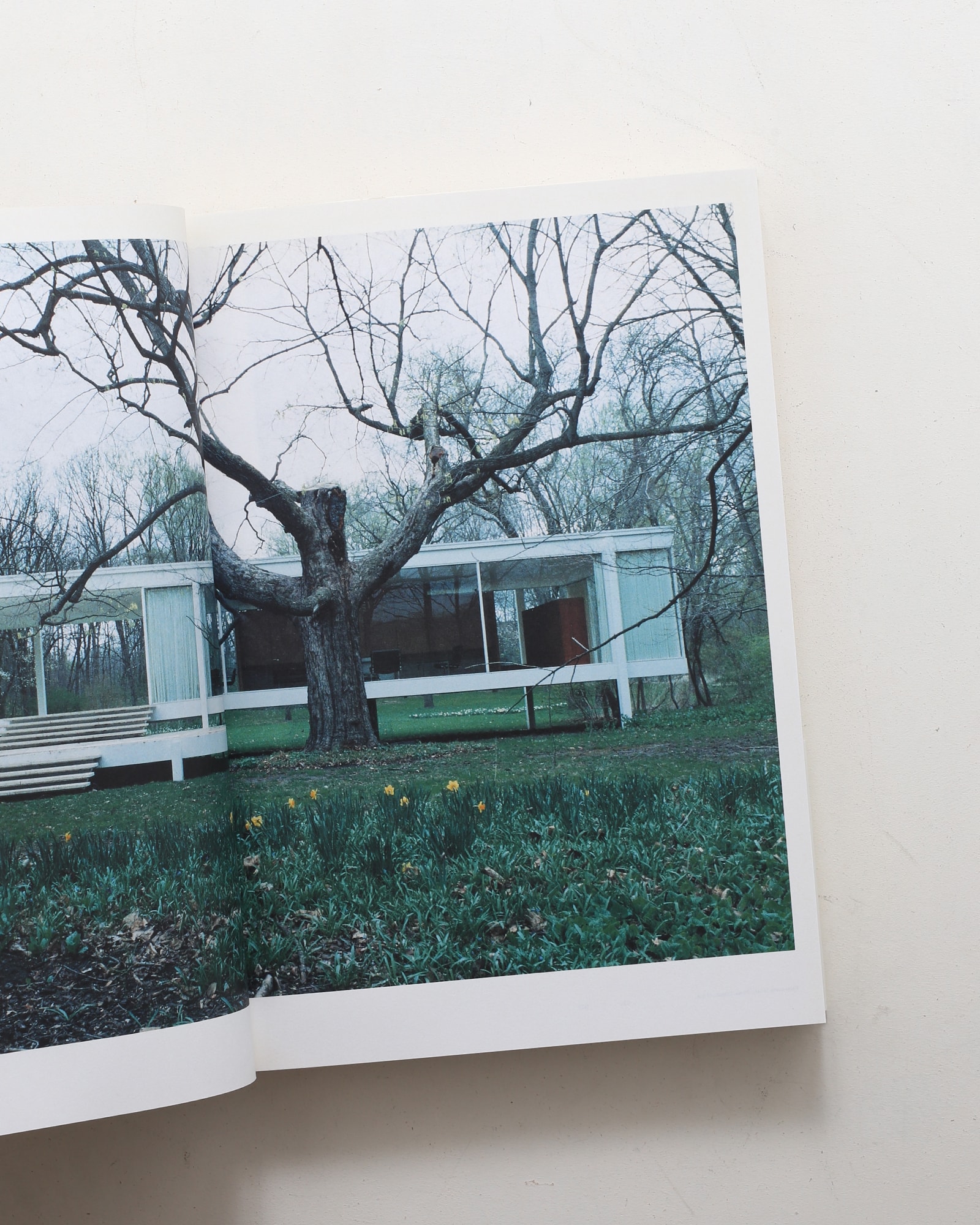 Mies van der Rohe | 上田義彦 | nostos books ノストスブックス