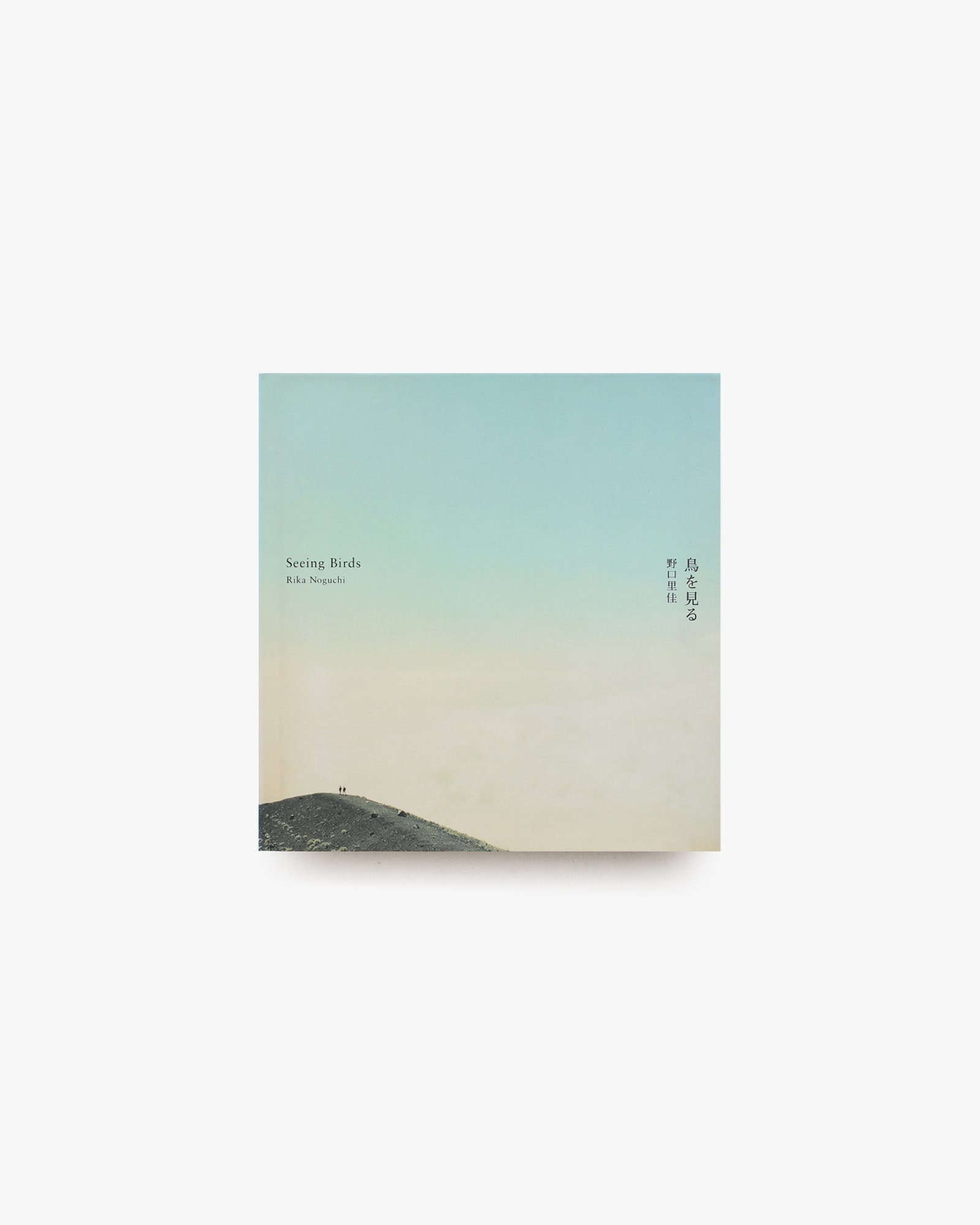 鳥を見る | 野口里佳 | nostos books ノストスブックス