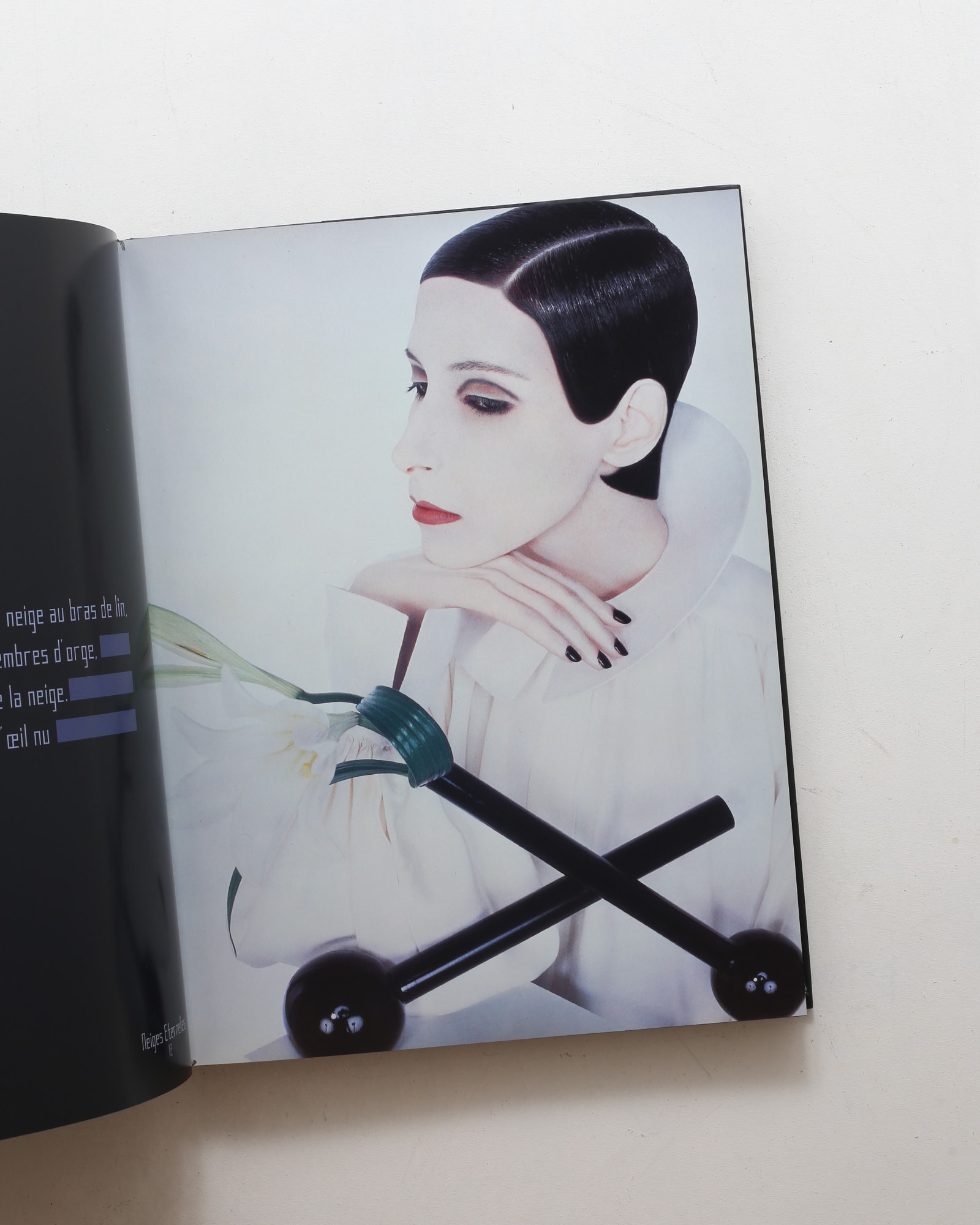 L'Esprit Serge Lutens: The Spirit of Beauty | nostos books ノスト