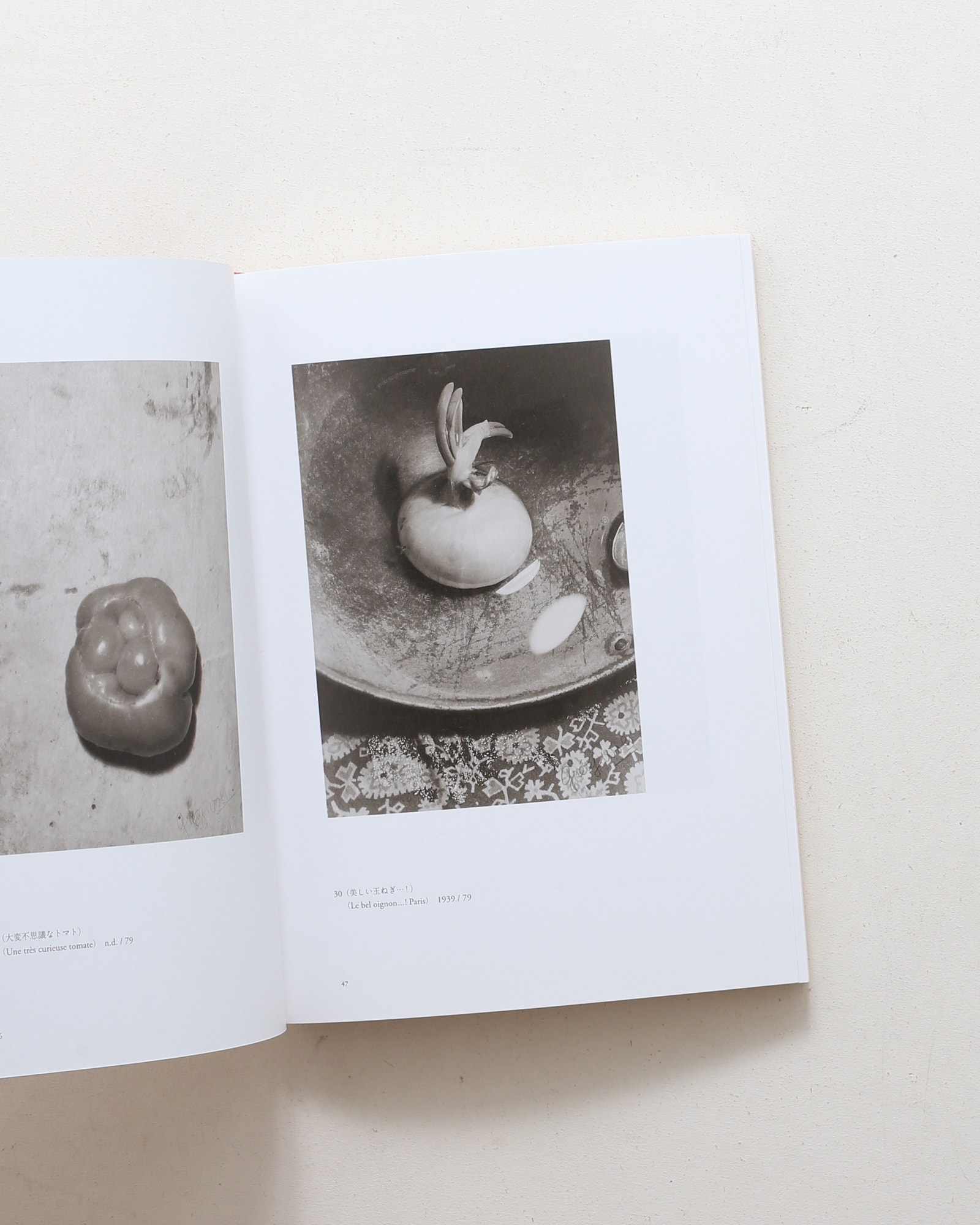 ヴォルス 路上から宇宙へ | nostos books ノストスブックス