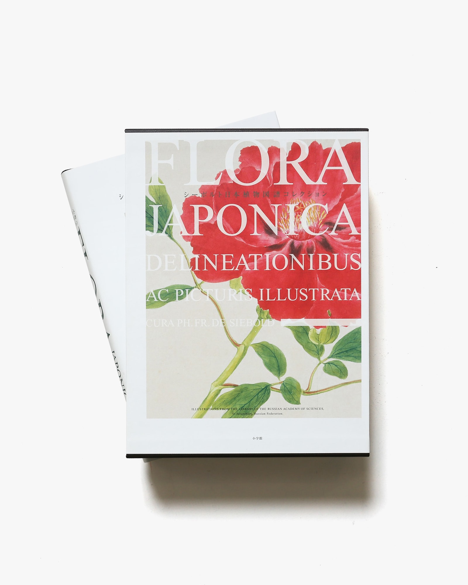 Flora シーボルト日本植物図譜コレクション | T.A.チェルナーヤ