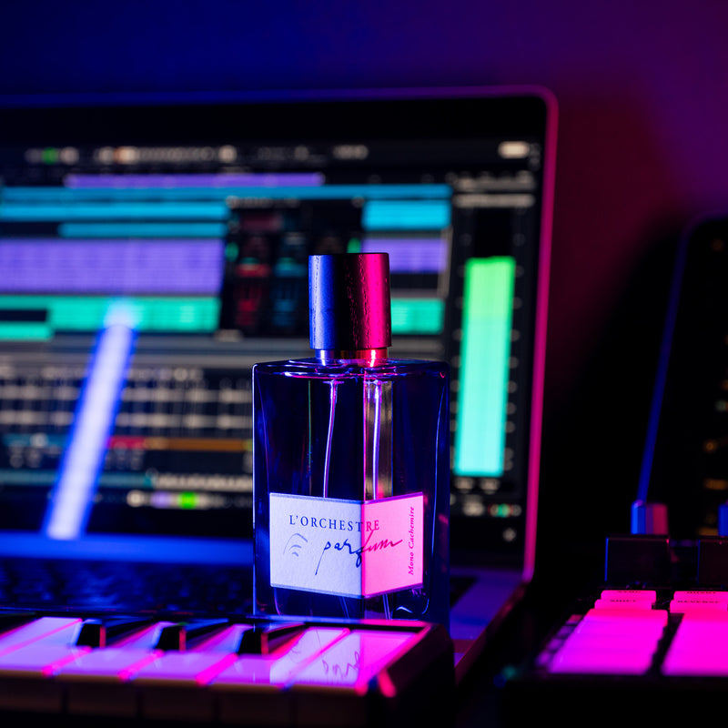 モノ カシミア – NOSE SHOP