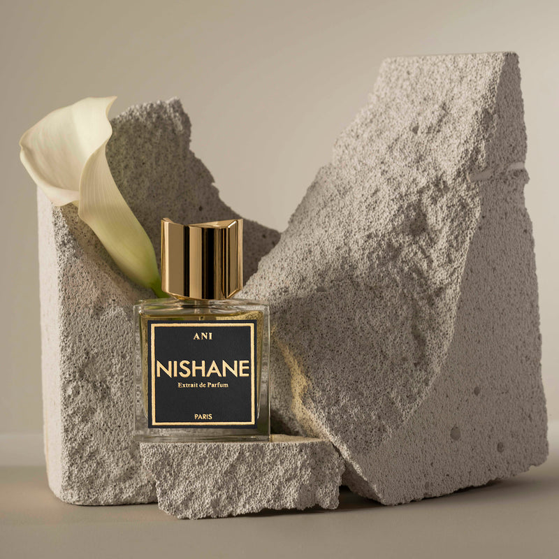 アニ｜アニ遺跡 – NOSE SHOP