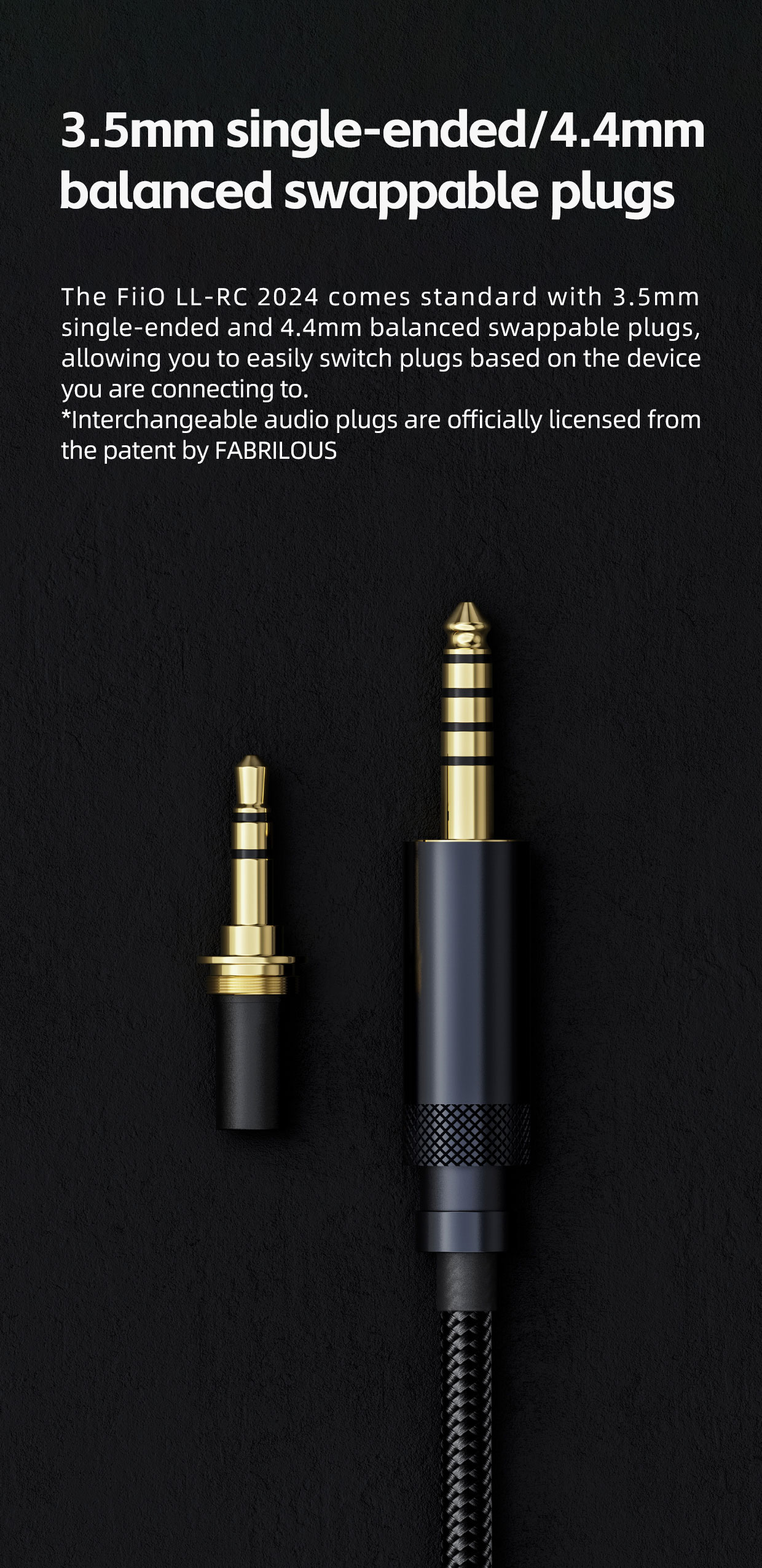 LL-RC 2024-FIIO---BORN FOR MUSIC