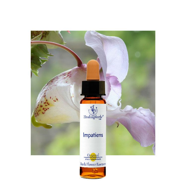 JK□フラワーレメディ10ミリを6本ヒーリングハーブス社