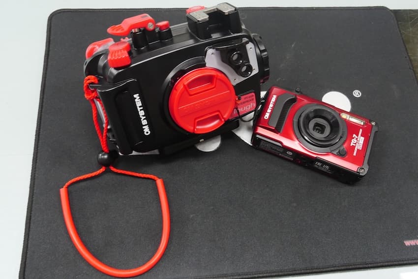 水中カメラTGの使い方を一から徹底解説！ プロに聞くTGでいい写真を