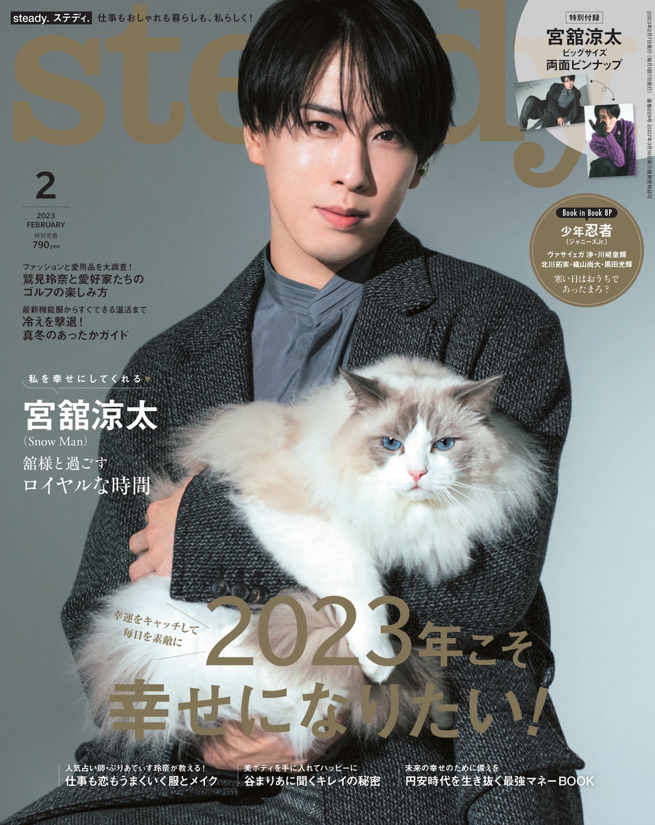 Snow Man宮舘涼太が猫を抱き「steady.」表紙に登場の記事へのコメント