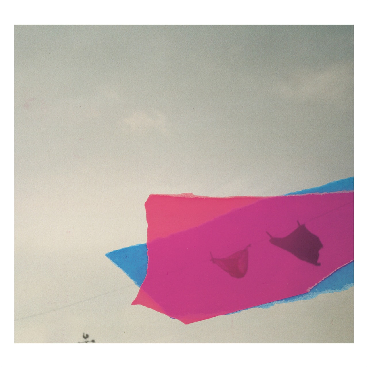 クリープハイプ、1stアルバム記念しタワレコ行脚敢行 - 音楽ナタリー