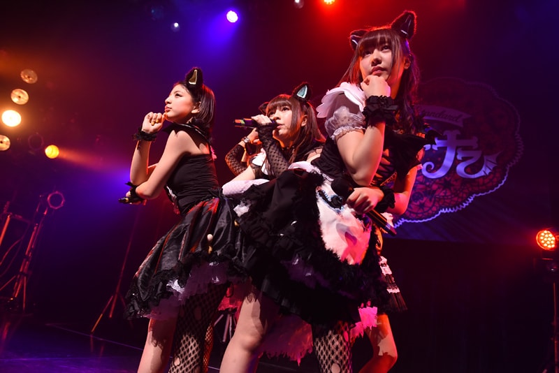 わーすた「完全なるライブハウスツアー2016～猫耳捨てて走り出すに゛ゃ