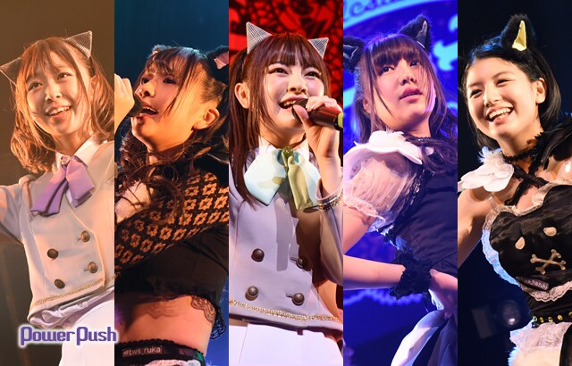 わーすた「完全なるライブハウスツアー2016～猫耳捨てて走り出すに゛ゃ