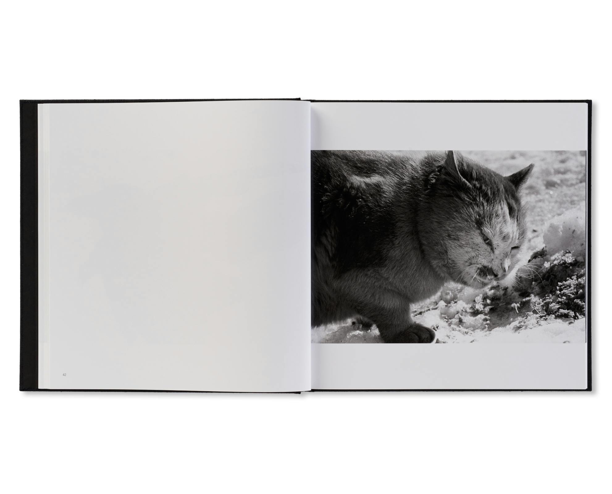 鴉 / RAVENS：深瀬昌久 | OIL - 現代アート・絵画の販売・通販