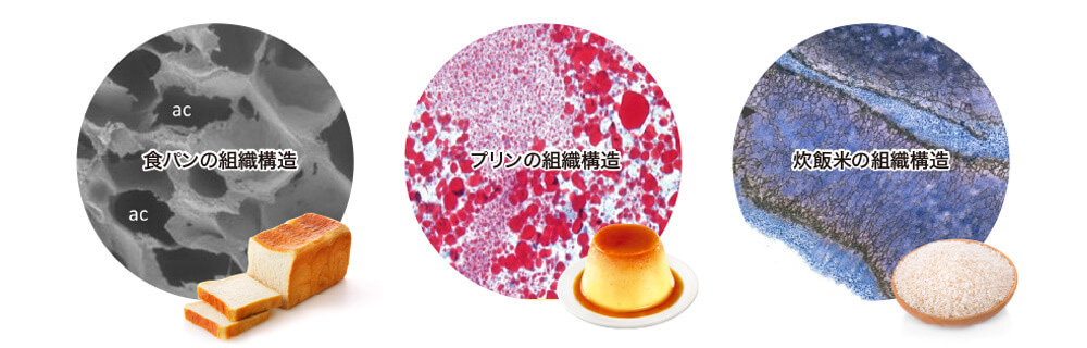 組織構造 | おいしさの科学研究所