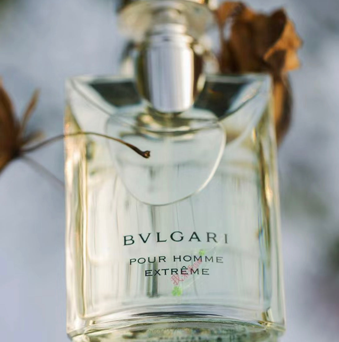 Bvlgari｜Pour Homme Extreme｜大吉岭茶極致版｜50ML – 00House靚靚屋