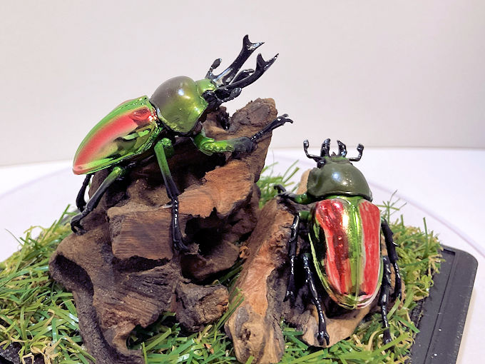 インペラトールホソアカクワガタ♂82mmレプリカ標本 | オオクワ京都昆虫館