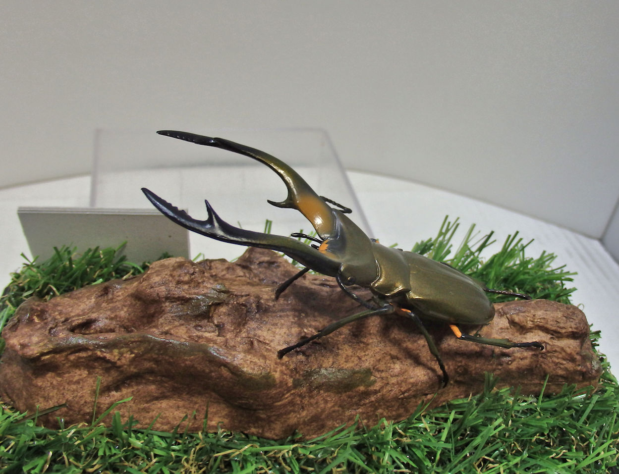 エラフスホソアカクワガタ♂83mmレプリカ標本 | オオクワ京都昆虫館