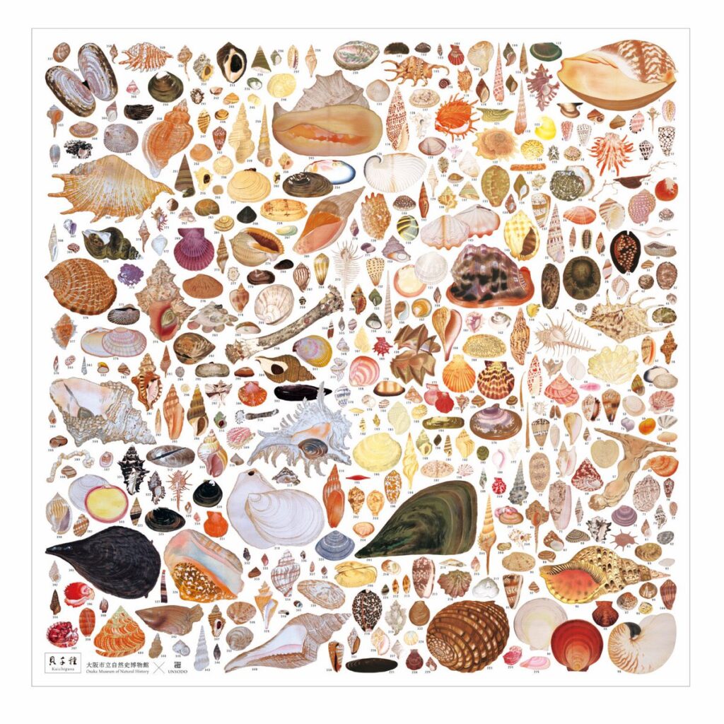 貝千種」風呂敷』のネットショップ販売について | OMNH