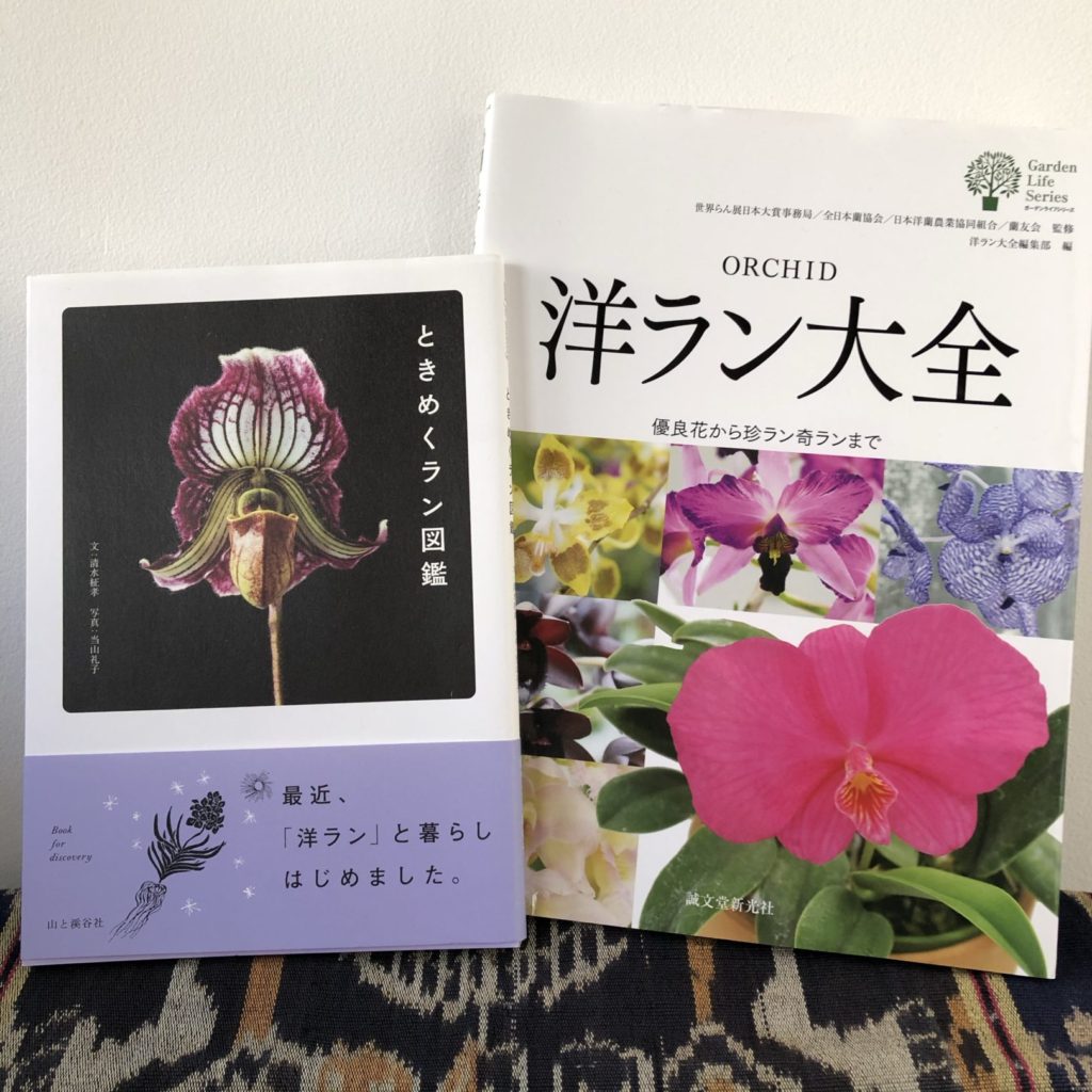 わたしの北極星 〜コロナ禍を乗り切ろう！巣ごもりをカスタムする魅惑