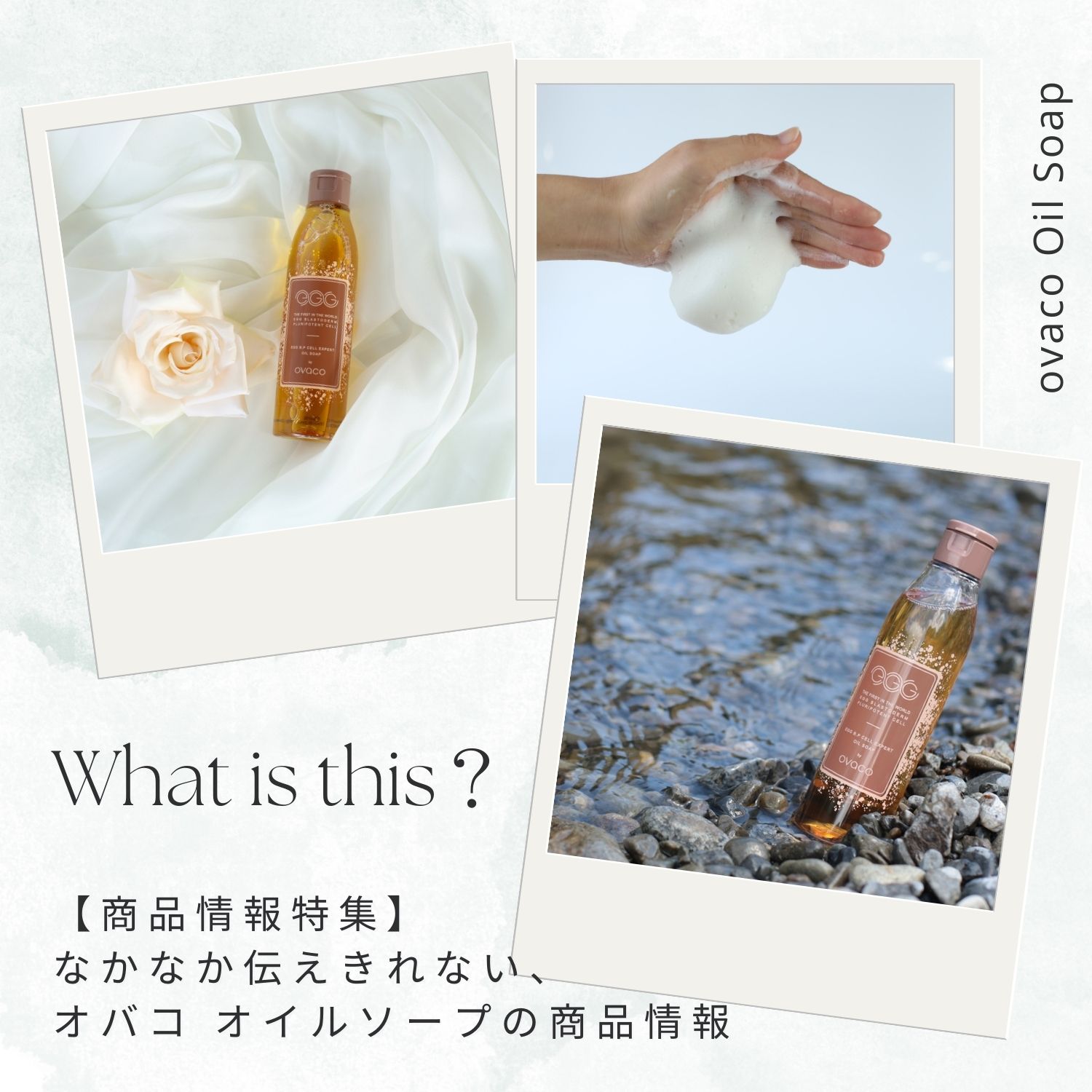 商品紹介】オバコオイルソープって、どんな商品？ - ovaco（オバコ