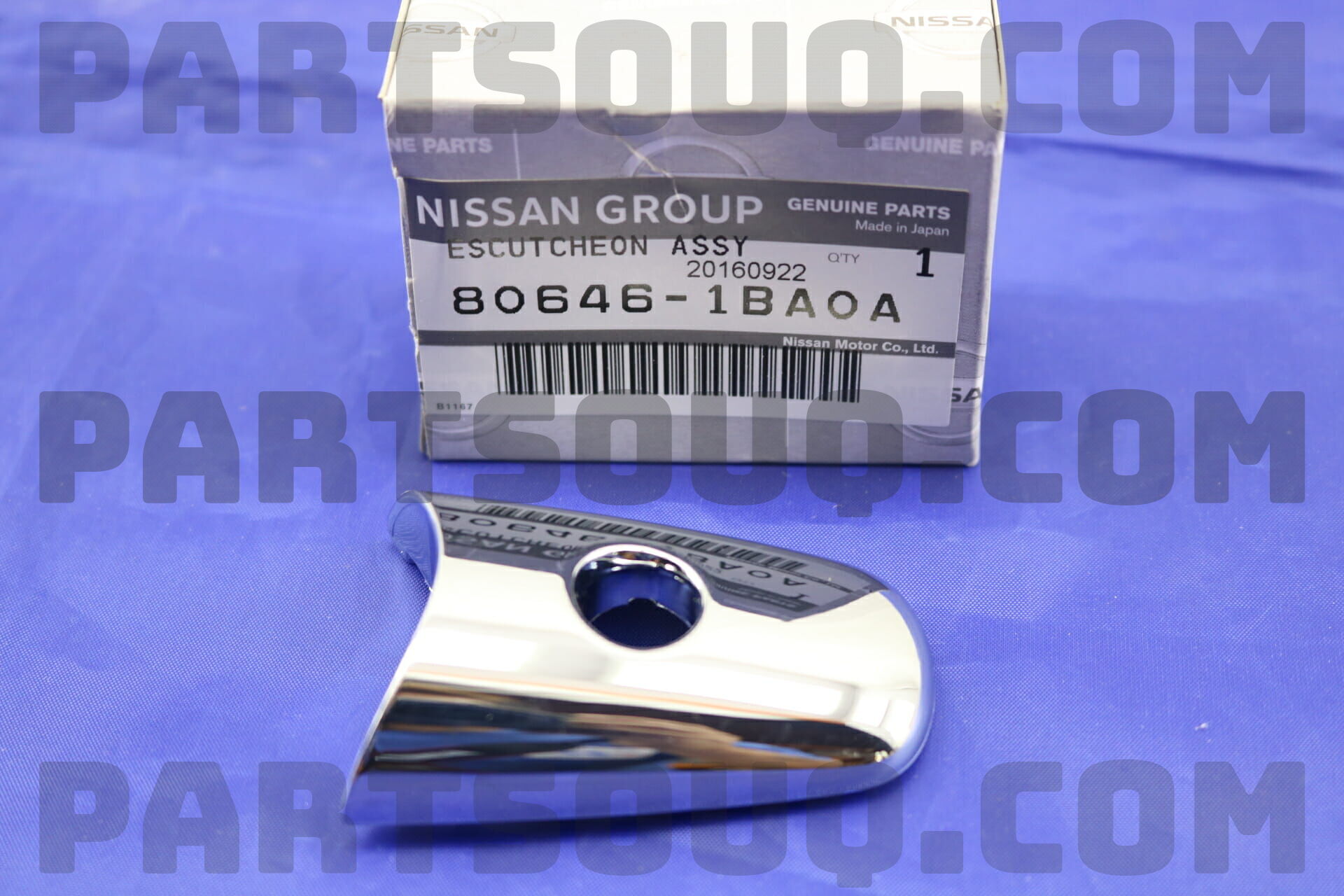 ESCUTCHEON ASSY-DOOR OUTSIDE HANDLE, RH/LH 806461BA0A | Nissan
