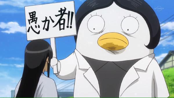 今日は、快援隊の坂本辰馬が桂小太郎に贈った謎の宇宙生物エリザベスの