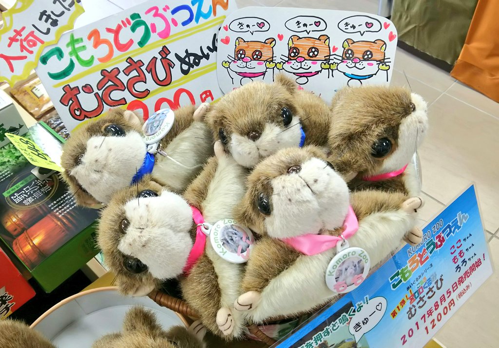 当店でも、小諸市動物園のむささびさんぬいぐるみの販売を開始しました