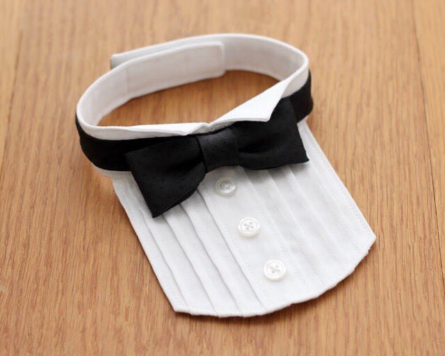 ウィングカラーと蝶ネクタイを作って首輪にしました。クリスマス