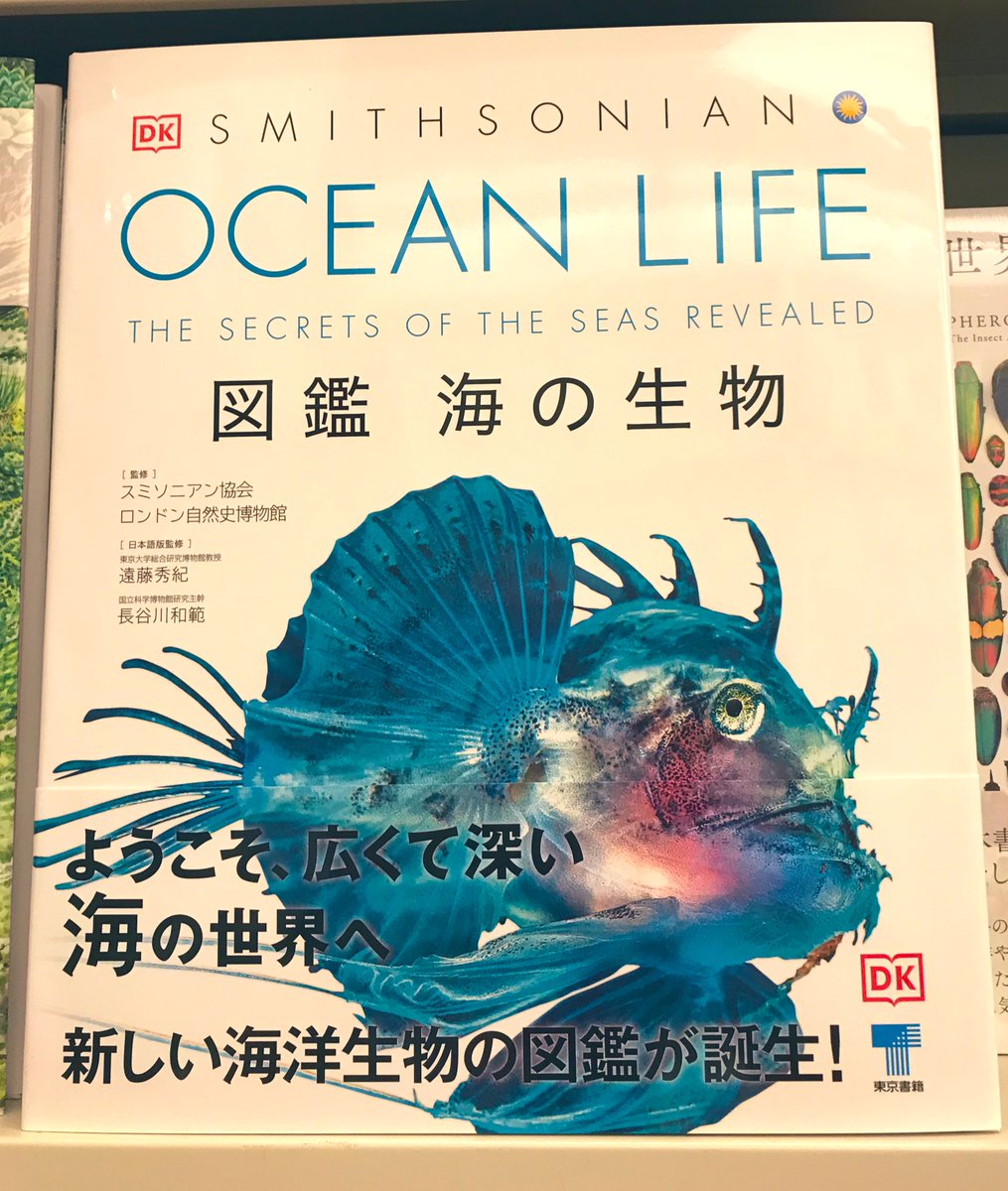 3F理工書】『OCEAN LIFE 図鑑海の生物』入荷。#スミソニアン協会