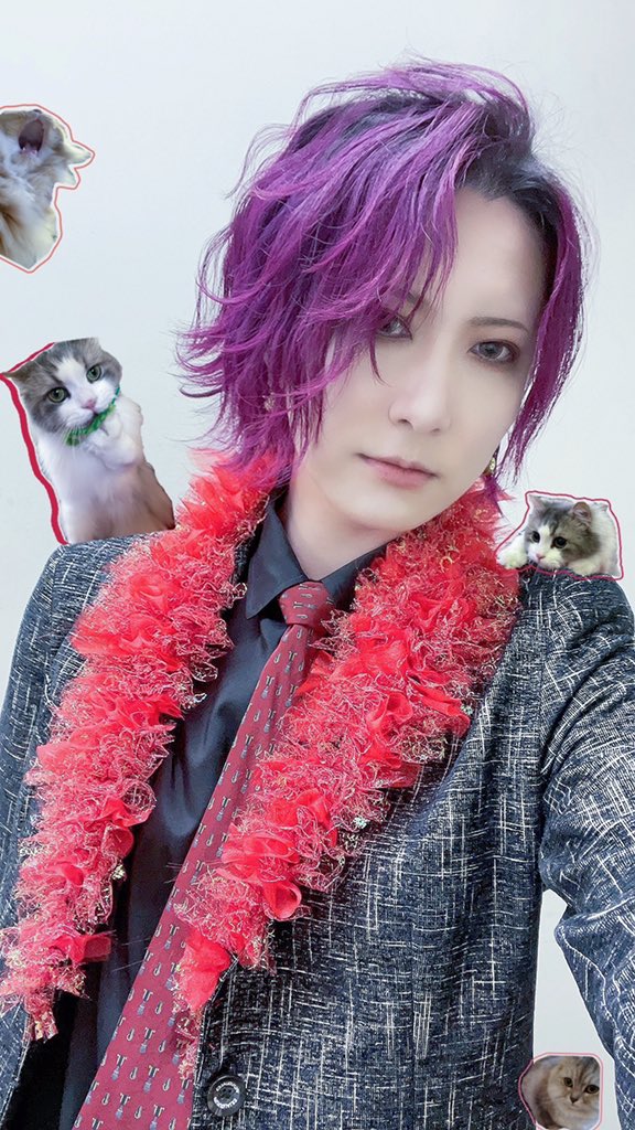 ひきフェスリアタイしてました！！📺👏 高らかに歌いました🤟楽しかっ