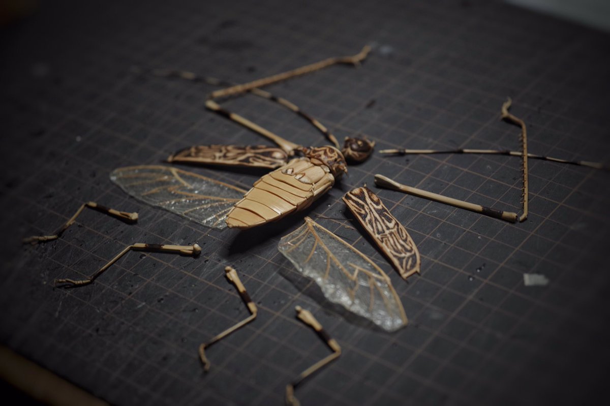 美品 特大 テナガカミキリ 標本 極美個体】テナガカミキリ 全長74mm