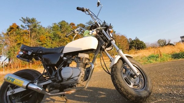 10メートル走れるようになりたい #ウィリー #RPM #P管 #エイプ #エイプ