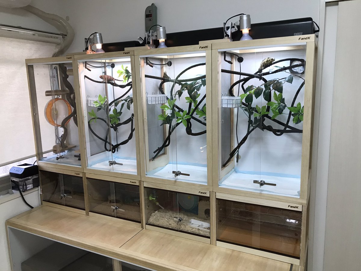 なな 110×45×45 爬虫類 ペット 飼育 天板金網8030 爬虫類ケージ