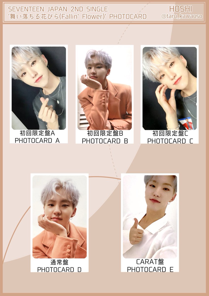 SEVENTEEN セブチ 舞い落ちる花びら Fallin' Flower フォトカード